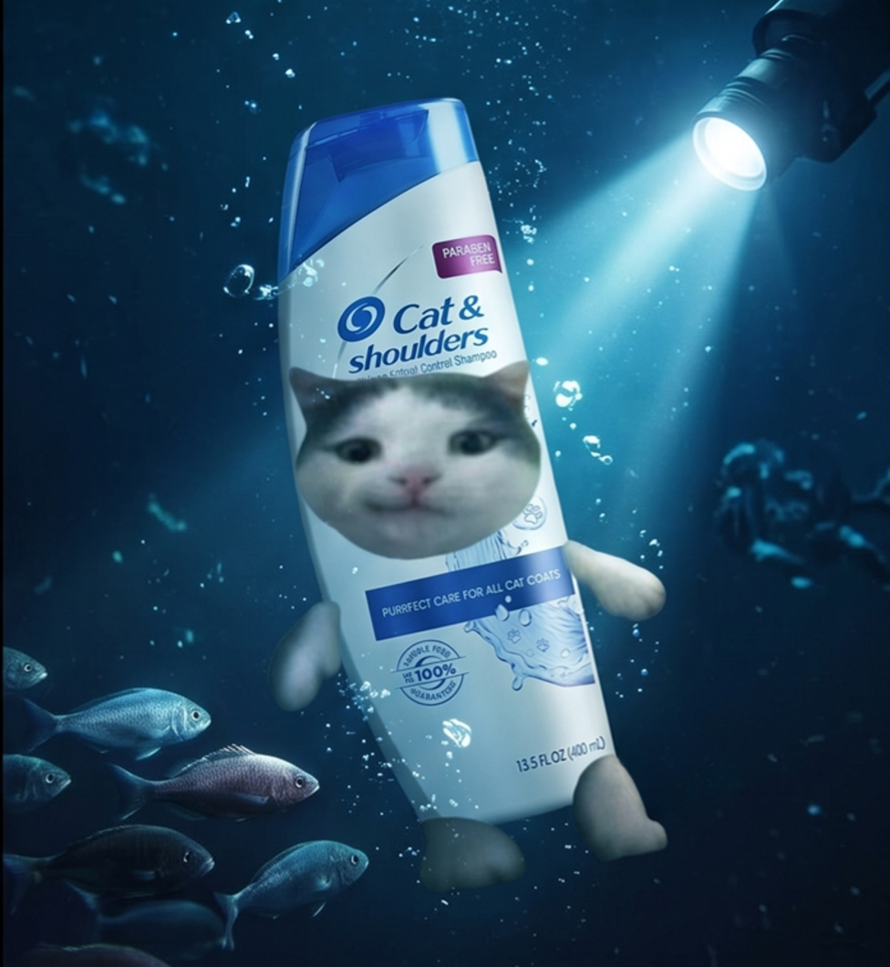 Cat and Shoulders underwater surrounded by fish